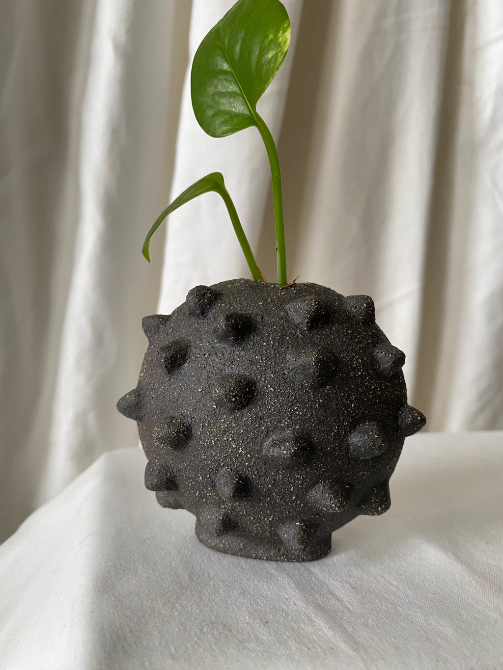 Studded Stone Mini