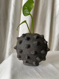 Studded Stone Mini