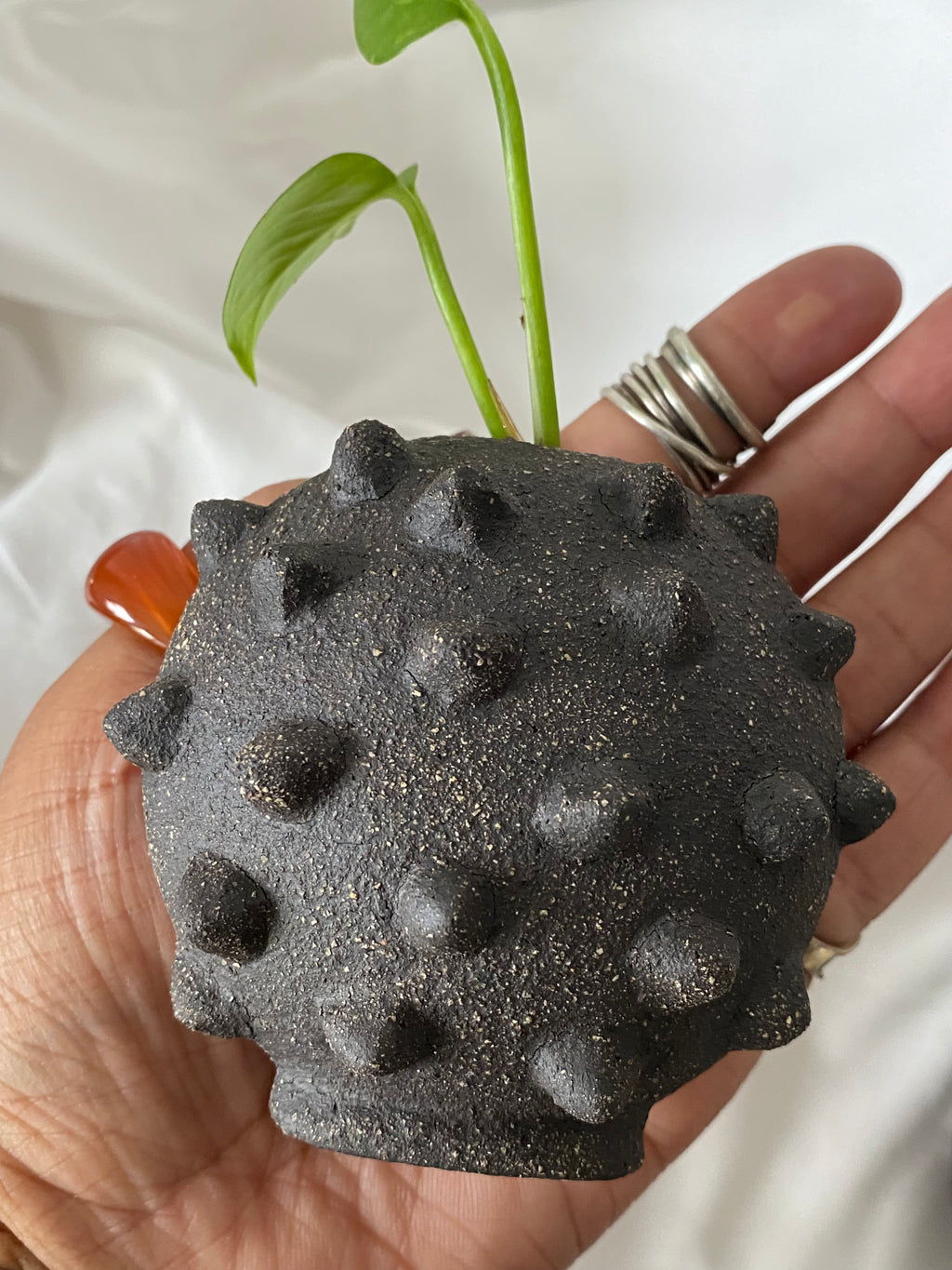 Studded Stone Mini